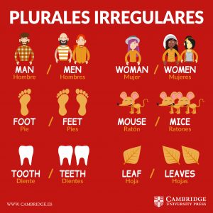 errores-en-inglés-más-comunes-plurales-irregulares
